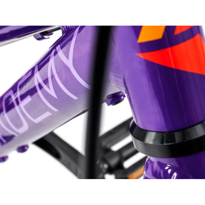 Grade 2 Belt - 14" (de la 95 cm)