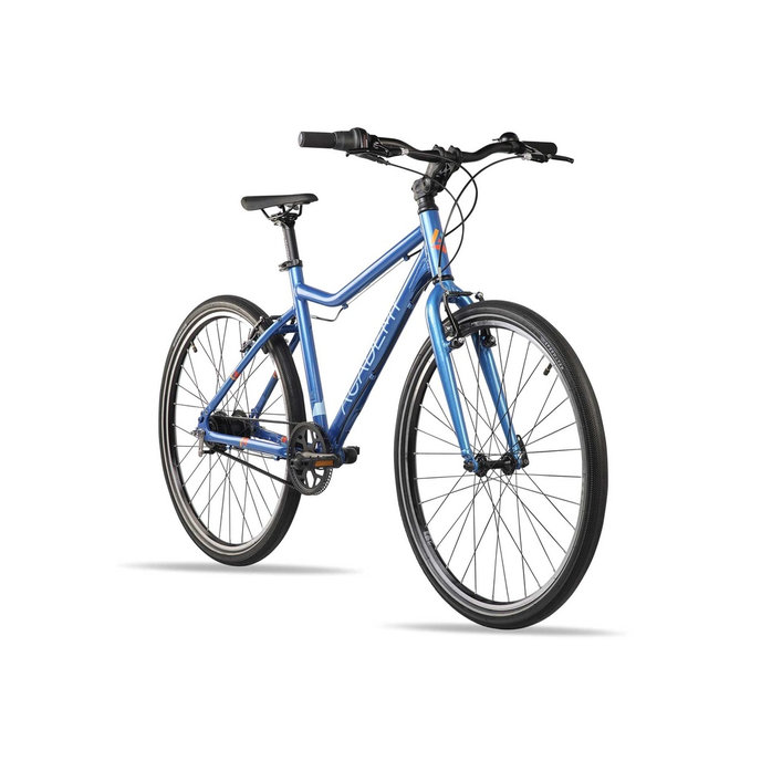 GRADE 6 Belt – 26" (de la 140cm)