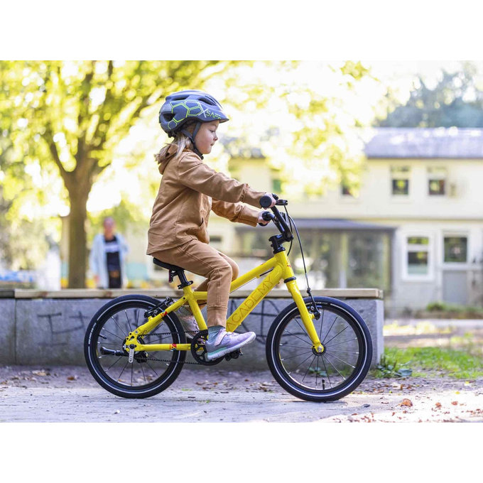 Grade 2 Belt - 14" (de la 95 cm)