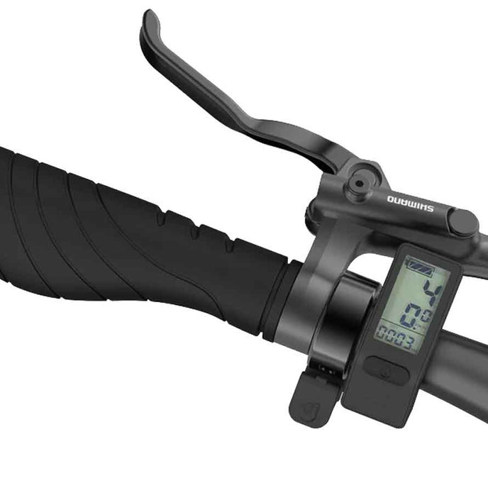 Bicicleta electrica OG24