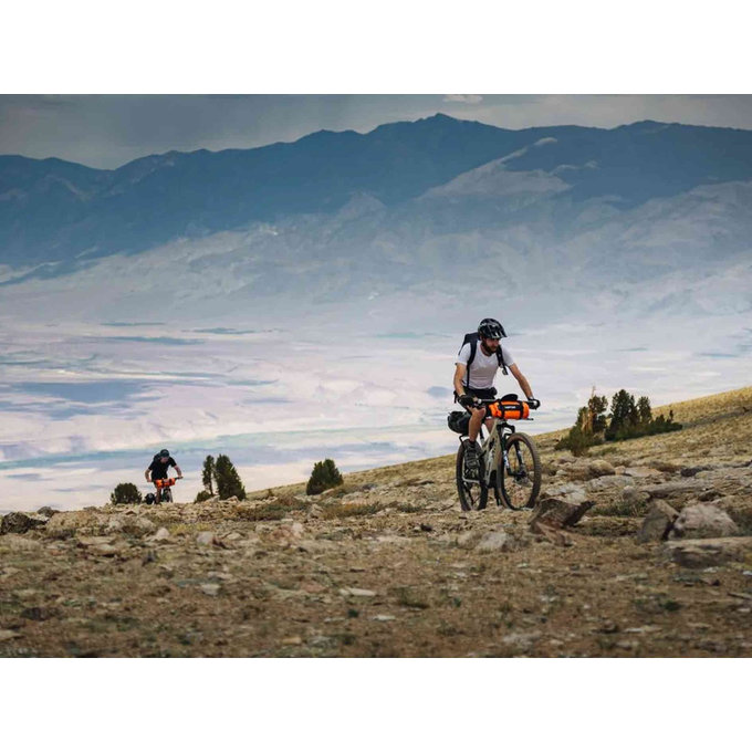 Receptor Spider Pannier