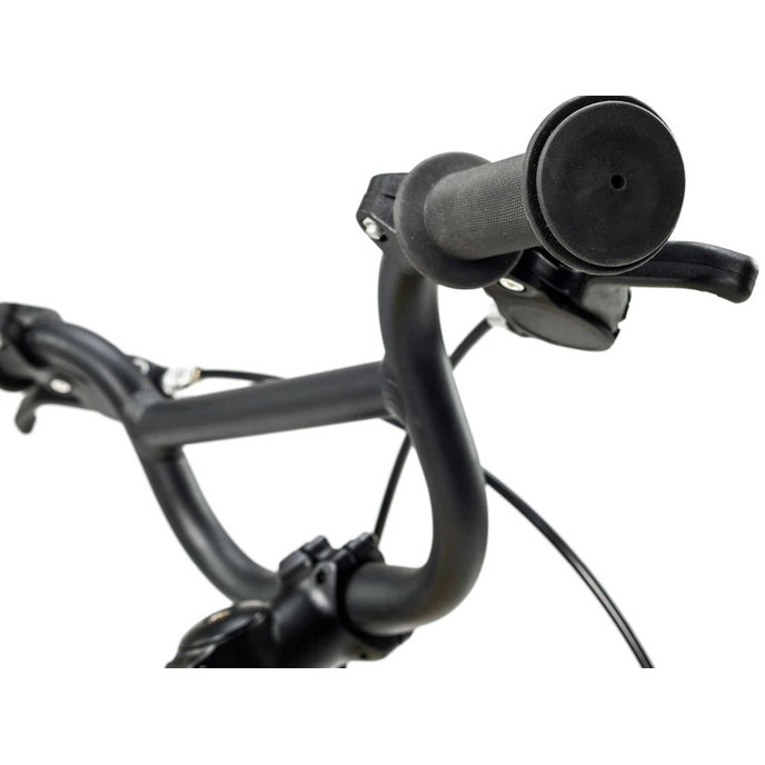 Grade 2 Belt - 14" (de la 95 cm)