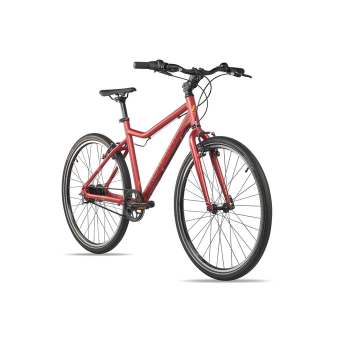 GRADE 6 Belt – 26" (de la 140cm)