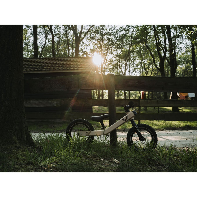 Bicicletă de echilibru 3 în 1 pentru copii cu vârsta cuprinsă între 1 și 5 ani