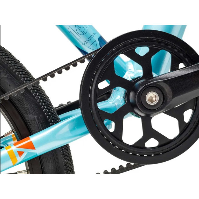 Grade 2 Belt - 14" (de la 95 cm)