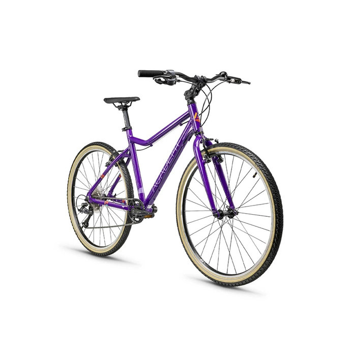 GRADE 6 – 26 (de la 140cm)