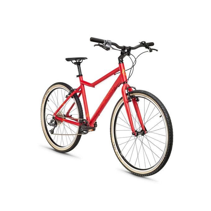 GRADE 6 – 26 (de la 140cm)