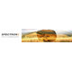 Julbo LIZZY Spectron 3