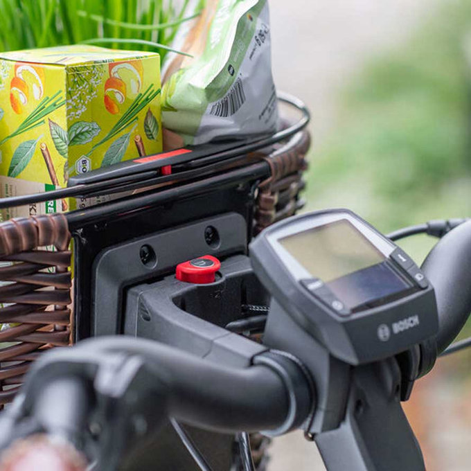 STRUCTURA OVAL coș ghidon din răchită maro