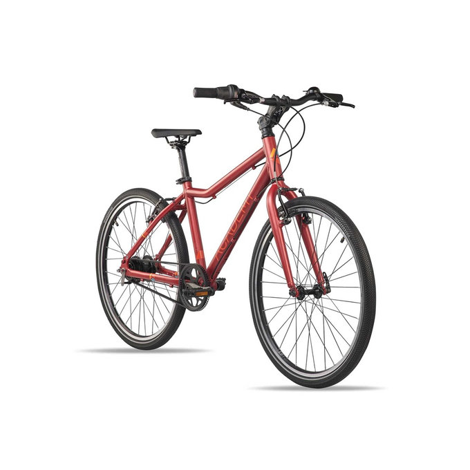 Grade 5 Belt - 24" (de la 130 cm)