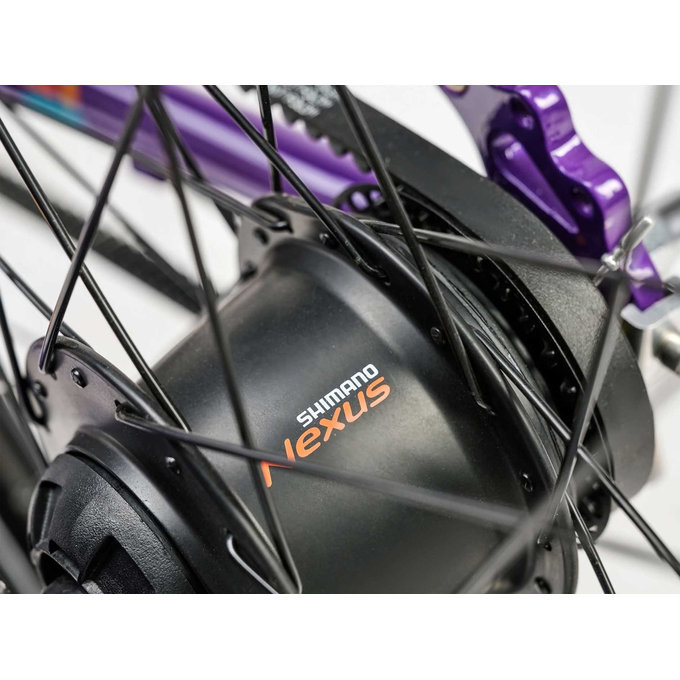 Grade 5 Belt - 24" (de la 130 cm)