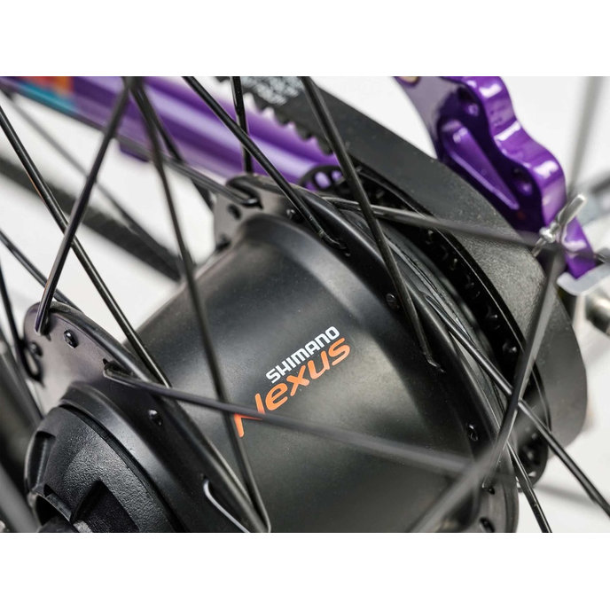 Grade 5 Belt - 24" (de la 130 cm)