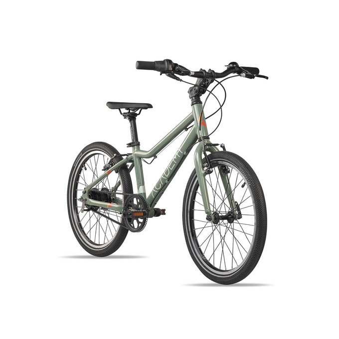 Grade 4 Belt - 20" (de la 115 cm)