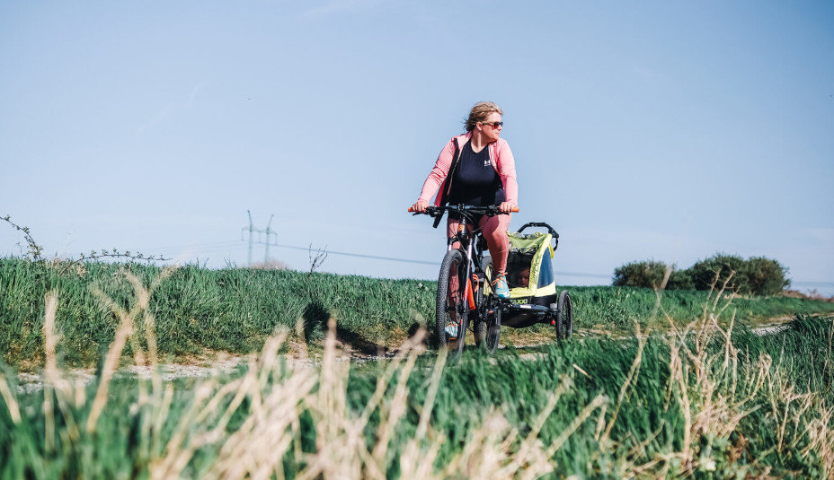 Confort, siguranță și utilizare sportivă, remorca de bicicletă TaXXi Elite