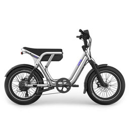 Bicicleta electrica OG200
